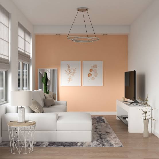 Welcome to Modern Nest Decor Co.